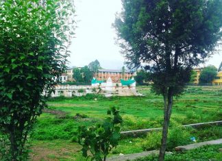 रानीपोखरी पुनर्निर्माणको गोलचक्कर, तेस्रो पटक जिम्मेवारी फेरियो