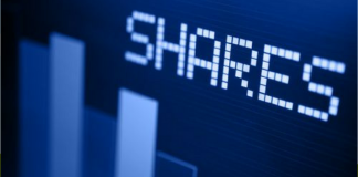 कुनै पनि सरकारी कार्यालयमा बसेर सेयर कारोबार गर्न नपाईने