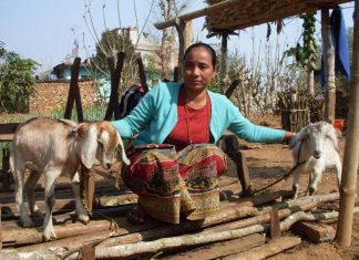 लघुवित्त संस्था सिधै विकास बैंक बन्न पाउने व्यवस्था गरिंदै