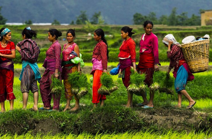 स्टार्टअपको योजनामा हुनुहुन्छ ? सरकारले दिने कर्जामा आवेदन खुल्यो