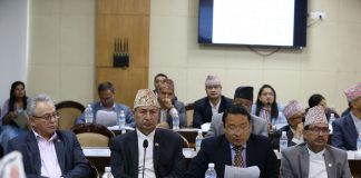 प्रचारमुखी होइन, दीर्घकालीन योजना ल्याउ प्रदेशलाई प्रमको सुझाव