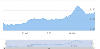 ६ अंकले बढ्यो नेप्से, ३५ करोडको कारोबार