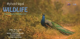 फोटो नेपालमा वाइल्ड लाइफ फोटो प्रदर्शनी