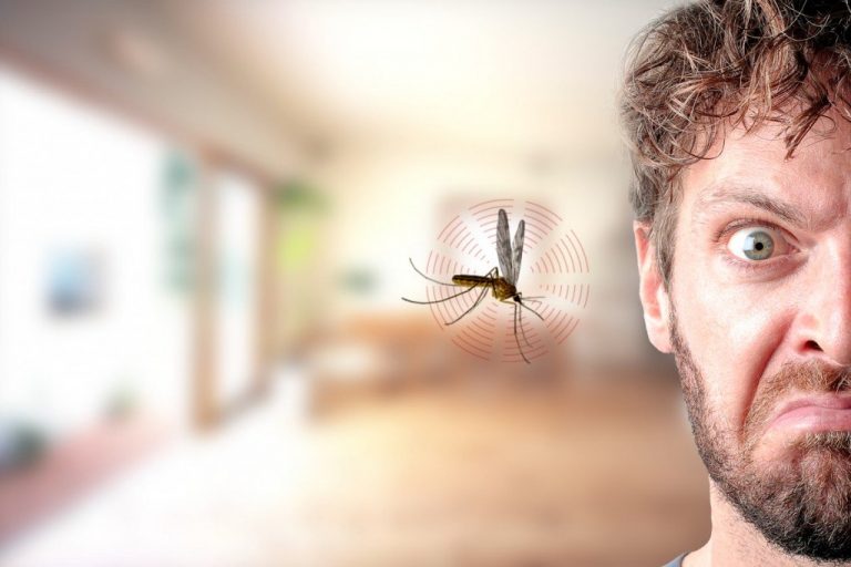 लामखुट्टेको टोकाईबाट बच्न बजाउनुहोस् म्युजिक !