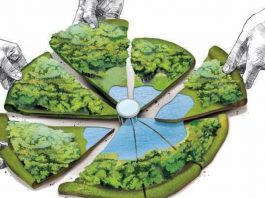 अतिक्रमित सम्पूर्ण जमीन एक वर्षभित्र राष्ट्रियकरण गरिने