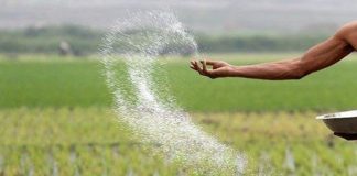 रसायनिक मल खरिदको लागि ९ अर्ब