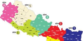 नेपाल अन्तराष्ट्रिय मञ्चमा उदीयमान राष्ट्र बन्ने, आर्थिक कुटनीतिमा जाेड