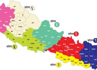 नेपाल अन्तराष्ट्रिय मञ्चमा उदीयमान राष्ट्र बन्ने, आर्थिक कुटनीतिमा जाेड