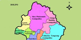 जनप्रतिनिधि यार्सा टिप्न गए, बजेट आएन