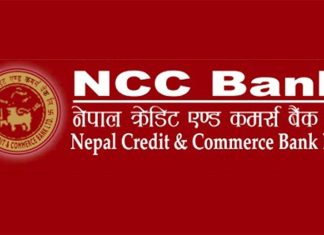 एनसीसी बैंकले गर्यो भिसा क्रेडिट कार्डको सुरुवात