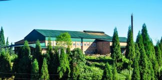 किन एकैपटक बन्द भए ईलामका ५२ चिया उद्योग ?