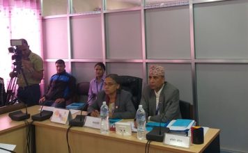 तिनकुने पुल निर्माणमा पप्पुको लापरवाही, कारवाही गर्न विकास समितिकाे निर्देशन