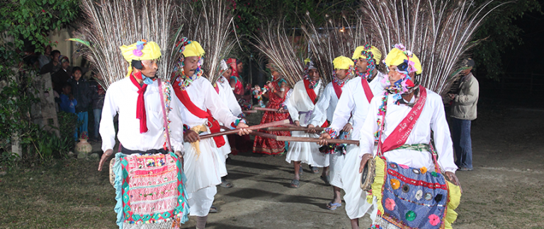 रूपन्देहीमा थारू हाेमस्टे सञ्चालन हुँदै, के के छन् आकर्षण ?