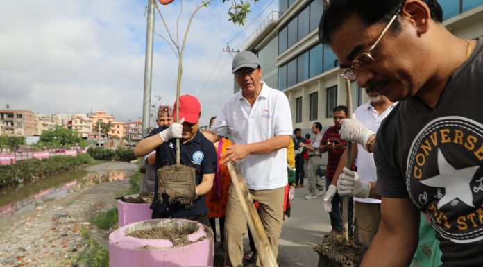 टोयोटाद्धारा धोबीखोला कोरिडोरमा ३ सय ६० वृक्षरोपण