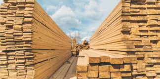 जंगलैजंगलकाे देशमा अर्बाैंकाे काठ आयात, मरभुमीकाे देशबाट पनि आउँछ !