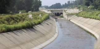 नयाँ पक्की बाँध निर्माणपछि सिँचाइको सुविधा