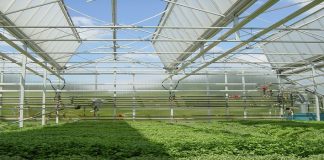 रामपुरमा हाइटेक पोलीहाउस निर्माण