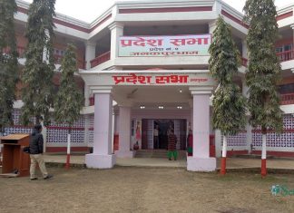 आफ्नै स्वामित्वको बैंक स्थापना गर्दै प्रदेश सरकार