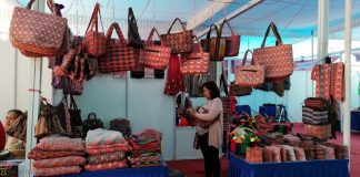 ८ सय महिलाले पाए उद्यमशिल कर्जा, ५८ करोड १३ लाख रुपैयाँ ऋण लगानी