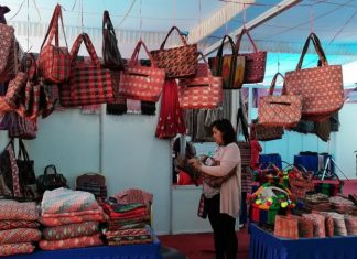 ५ सय ३५ महिलाले पाए उद्यमशिल कर्जा, ३७ करोड २३ लाख रुपैयाँ ऋण लगानी