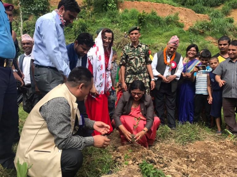 स्याङ्जामा जग्गा चक्लाबन्दी गरी खेती सुरु, एक हजार रोपनीमा कागती मात्रै
