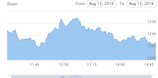 नेप्सेमा सामान्य सुधार, रसुवागढी र सान्जेनकाे धेरै काराेबार