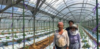 प्राथमिकता प्राप्त क्षेत्रमा राष्ट्र बैंकको निर्देशन पालना भएन, तोकिएको कर्जा प्रवाह गर्न बैंक असफल