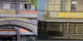 खाद्य सस्थान र नेशनल ट्रेडिङ मर्ज, बन्याे ‘खाद्य व्यवस्था तथा व्यापार कम्पनी’