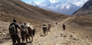 तिङ्कर नाकालाई अन्तर्राष्ट्रिय ‘ट्रान्जिट’ मार्गकाे रूपमा विकास गरीने