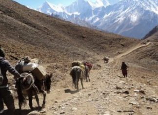 तिङ्कर नाकालाई अन्तर्राष्ट्रिय ‘ट्रान्जिट’ मार्गकाे रूपमा विकास गरीने