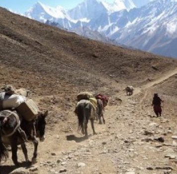 तिङ्कर नाकालाई अन्तर्राष्ट्रिय ‘ट्रान्जिट’ मार्गकाे रूपमा विकास गरीने