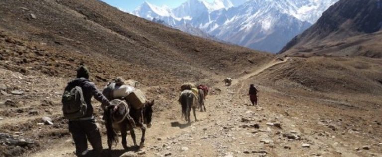 तिङ्कर नाकालाई अन्तर्राष्ट्रिय ‘ट्रान्जिट’ मार्गकाे रूपमा विकास गरीने