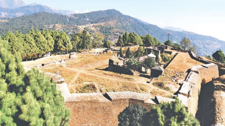 कृषिमा फड्को मार्दै मकवानपुरगढी