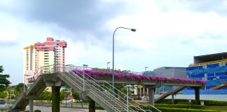 नयाँ बानेश्वर चाेकमा आकाशे पुलकाे निर्माण शुरु