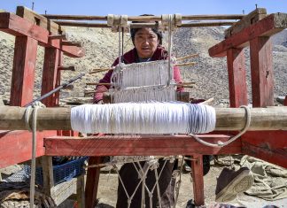 १४ सय महिलाले पाए उद्यमशिल कर्जा, ९२ करोड ७ लाख रुपैयाँ ऋण लगानी