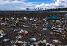 कोक, पेप्सी र नेस्लेले फैलाइरहेका छन् विश्वभर प्लाष्टिकजन्य फोहोर