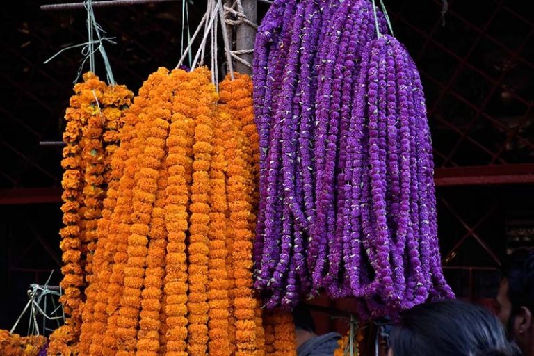 किन भनियो तिहारलाई ‘यमपञ्चक’ ? महत्व र धर्मशास्त्रका पौराणिक कथाहरु