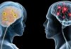 महिलाको मस्तिष्क पुरुषको तुलनामा उत्कृष्ट, किन चल्छ धेरै ?