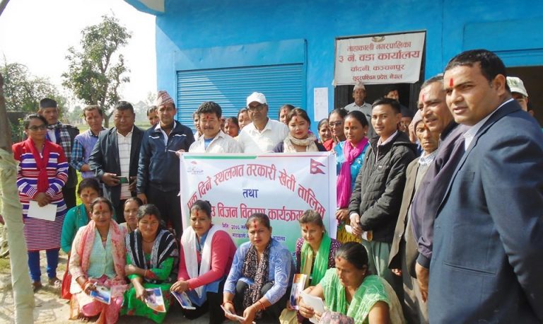 दोधारा  चाँदनीमा तरकारी स्थलगत  खेती तालिम तथा बिउ वितरण