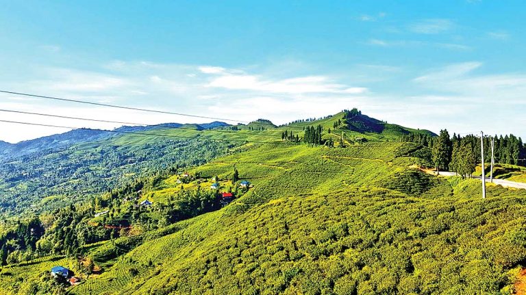मंसिर १४  देखि इलाममा सुर्योदय नगर महोत्सव हुने