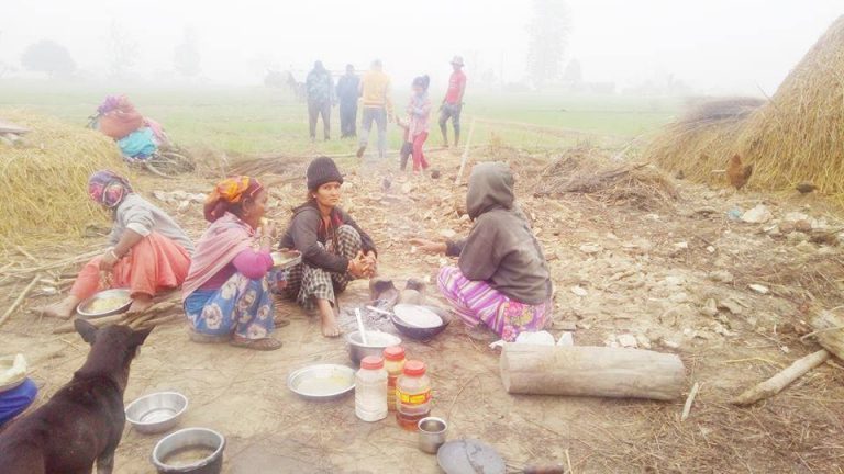 मानव र वन्यजन्तुबीच द्वन्द्व रोक्न ठूलो रकम खर्च, उपलब्धि न्यून
