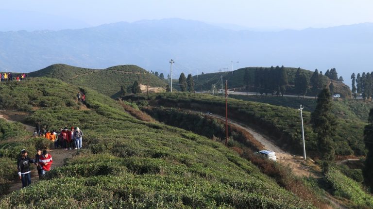 उत्पादनमूलक क्षेत्रमा लगानी व्यवस्था खुकुलो