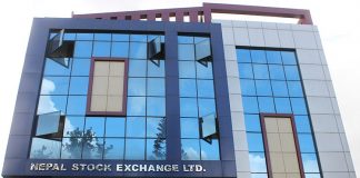 नेप्सेको सीइओ बन्न ११ जनाको दाबेदारी, को-को छन् दौडमा ?