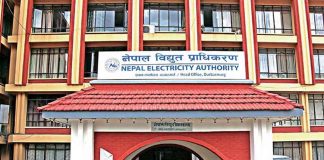 नेपाल विद्युत प्राधिकरणले माग्यो ८ जना चार्टर्ड एकाउन्टेन्ट (सूचना सहित)