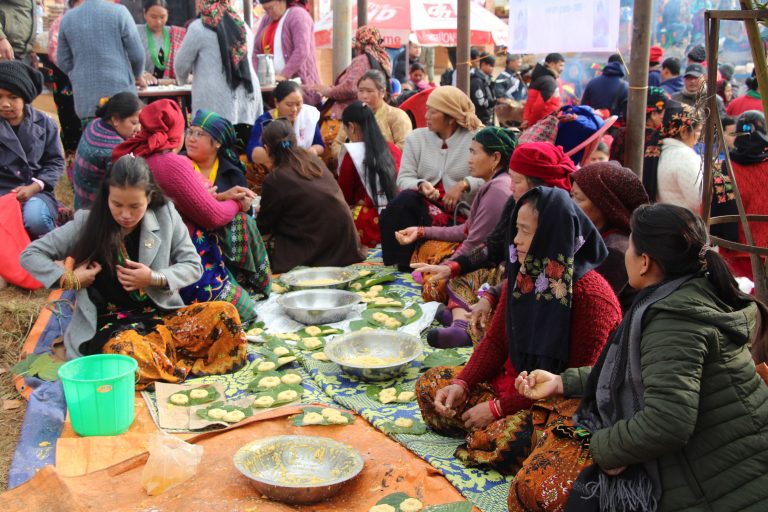 पाल्पामा मगर महोत्सव