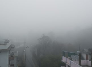 आजको मौसम : तराईमा कुहिरो, हिमाल–पहाडमा आंशिक बदली