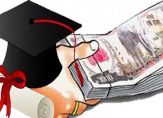 सहुलियत कर्जामा आकर्षण कम, शिक्षित युवा स्वरोजगार कर्जा लिनेको संख्या न्यून