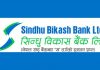 सिन्धु विकास बैंकमा रोजगारीको अवसर,कसरी दिने आवेदन ?