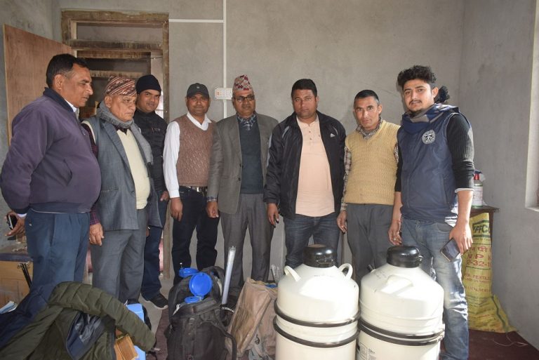 दोधारा चाँदनीमा पशु नश्ल सुधारका लागि कृत्रिम गर्भाधान