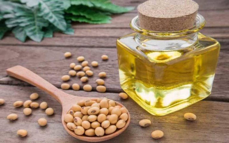 पामको विकल्प बन्दै भटमासको तेल, सात महिनामा ५ अर्ब ९४ करोडको निर्यात